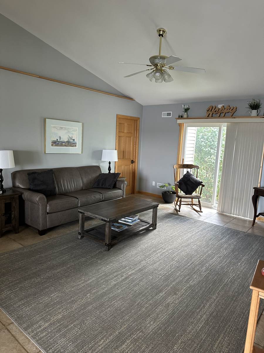 Living room with a leather sofa and lots of natural light